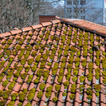 toiture avec de la mousse gironde
